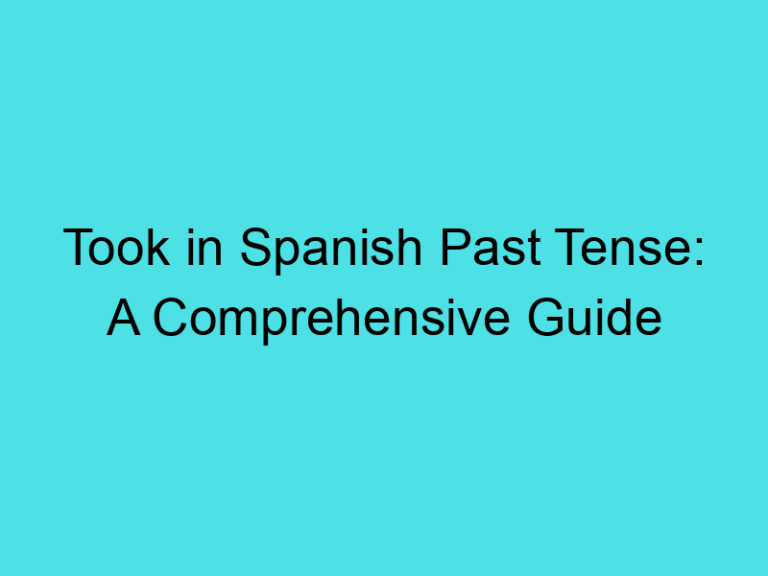 Took in Spanish Past Tense: A Comprehensive Guide